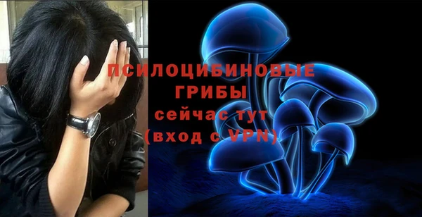 ПСИЛОЦИБИНОВЫЕ ГРИБЫ Покровск