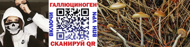 Галлюциногенные грибы мухоморы kraken ТОР Саянск дарнет шоп